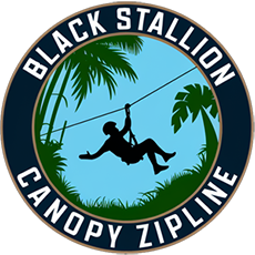 Black Stallion Canopy Zipline